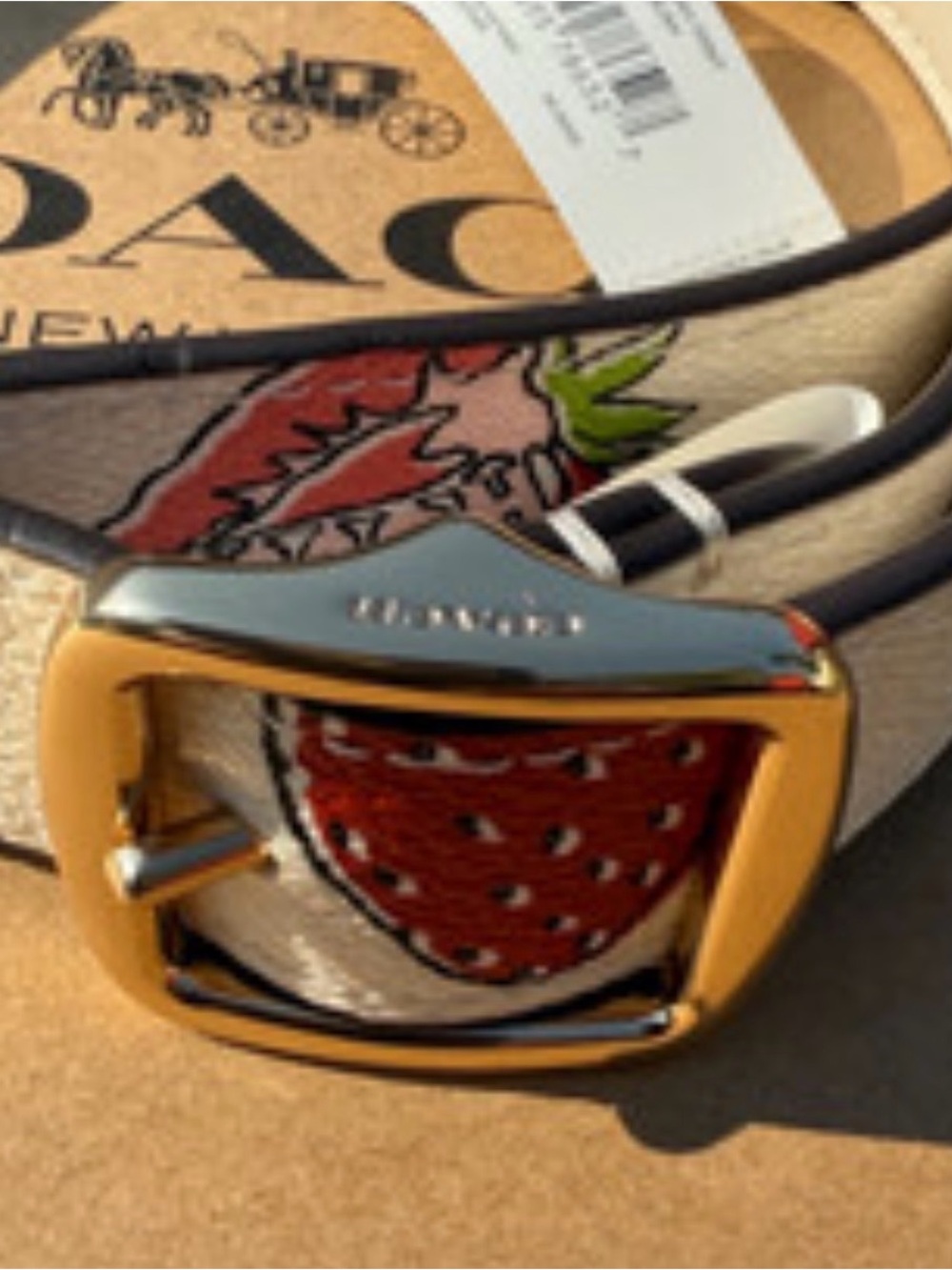 Coach Gold-Tone Buckle Canvas Belt with Red Strawberry Motif